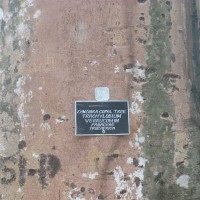 Hymenaea verrucosa Gaertn.